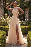 Floral Appliqued Blush Corset Long Prom Dress with Slit