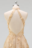 Floral Appliqued Blush Corset Long Prom Dress with Slit