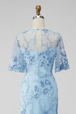 Light Blue Sheath Floral Appliqued Illusion Neck Long Formal Dress