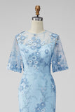 Light Blue Floral Sheath Long Wedding Guest Dress with Sleeves