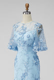 Light Blue Floral Sheath Long Wedding Guest Dress with Sleeves