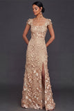 Champagne Floral Appliqued Sheath Long Formal Dress with Slit