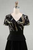 Pleated Black V Neck A Line Long Formal Dress