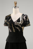 Pleated Black V Neck A Line Long Formal Dress