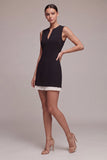 V Neck Sleeveless Little Black Dress