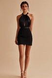 Halter Neck Sleeveless Bodycon Little Black Dress