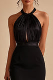 Halter Neck Sleeveless Bodycon Little Black Dress