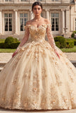 Champagne Floral Ball Gown Long Quinceanera Dress