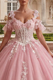 Pink Appliqued Floral Cold Shoulder Long Quinceanera Dress