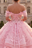 Pink Ball Gown Floral Appliqued Princess Long Quinceanera Dress