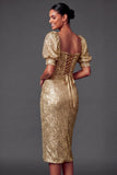 Sheath English Rose Sweetheart Glitter Midi Formal Dress