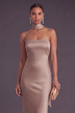 Dusty Rose Mermaid Long Wedding Guest Dress with Neck Scarf