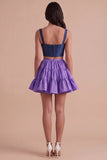 2 Piece Pink Fuchsia Corset A Line Short Cocktail Dress