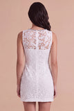 Sparkly Ivory Floral Lace Bodycon V-Neck Short Cocktail Dress