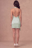 White Halter Ruched Bodycon Satin Short Bridal Shower Dress with Side Cape