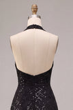 Black Floral Sparkly Sequins Halter A-Line Long Formal Dress