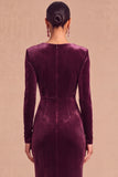 Dark Green Mermaid V-Neck Ruched Long Sleeves Wedding Guest Dress