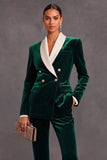 Brown Velvet Shawl Lapel Double Breasted 2 Piece Women Suits with Sleeves