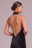 Black Mermaid Halter Lace Backless Long Formal Dress