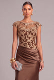 Brown Mermaid Illusion Neck Ruched Long Formal Dress with Embroidery