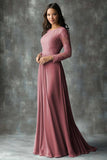Chiffon A-Line Dusty Blue Applique Long Mother of the Bride Dress