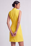 Pink Bodycon V Neck Short Work Dress with Buttons
