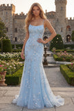 Mermaid Blush Spaghetti Straps Prom Dress with Appliques