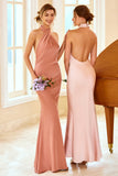 Mermaid Halter Blush Long Bridesmaid Dress with Backless