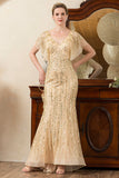 Sparkly Grey Beading Mermaid Mother of Bride Dress