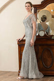 Sparkly Grey Beading Mermaid Mother of Bride Dress