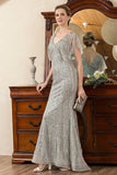 Sparkly Grey Beading Mermaid Mother of Bride Dress